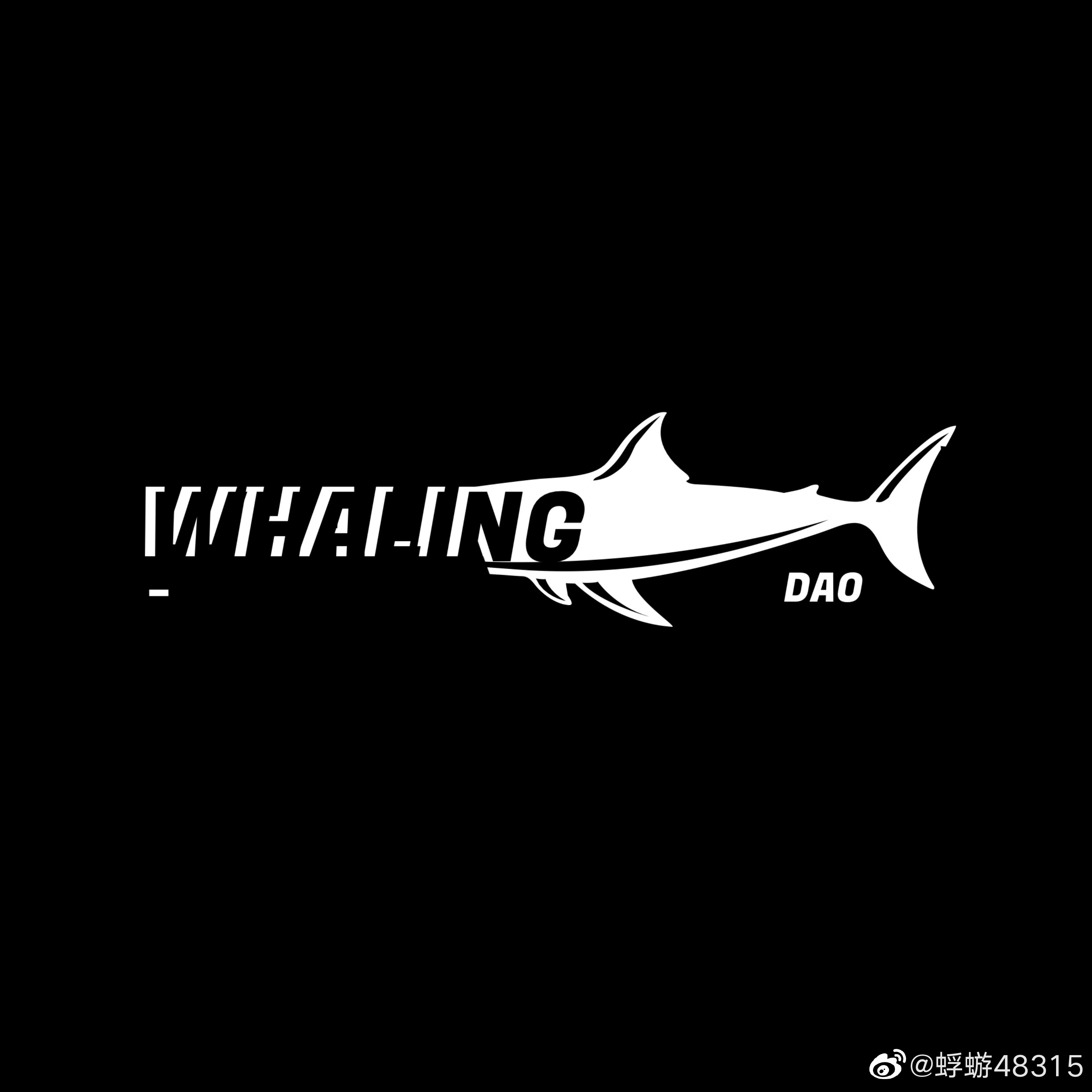 squid安卓版打开pdfquizlet安卓版为什么不能下载-第2张图片-太平洋在线下载