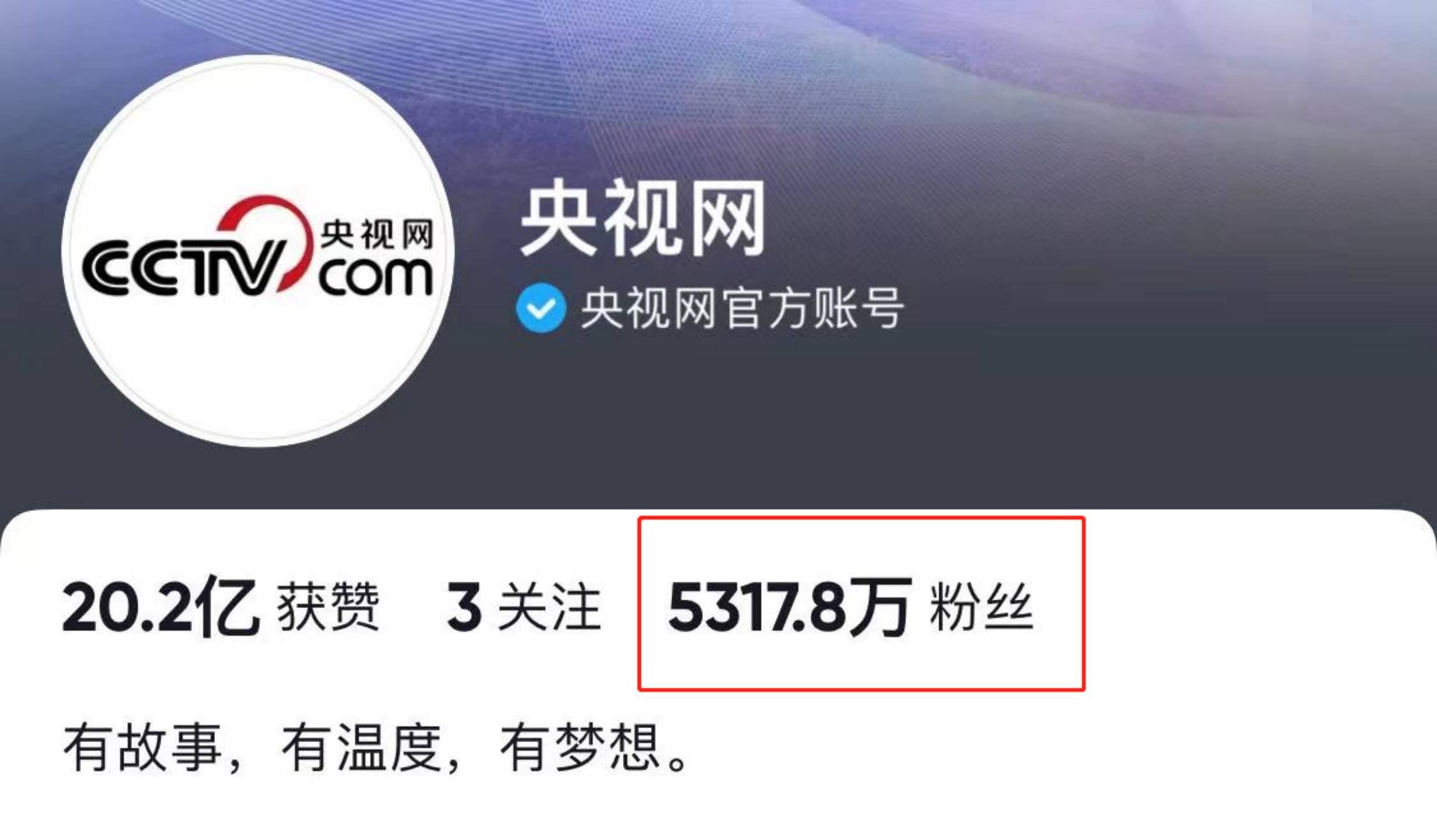 央视网客户端央视网下载电脑版-第2张图片-太平洋在线下载
