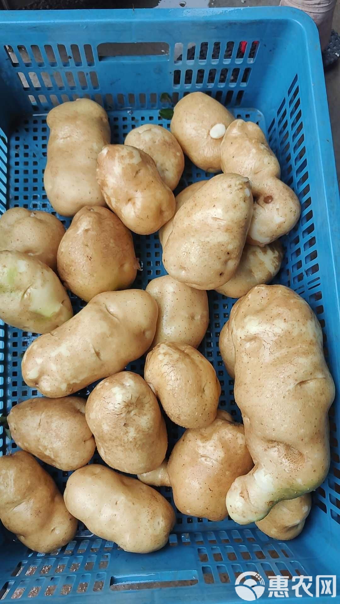 关于土豆视频旧版5.0手机版的信息-第2张图片-太平洋在线下载